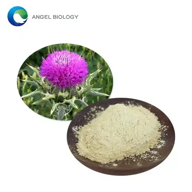 Learn the Advantages of Silybum Marianum Extract Powder: An All-Natural Enhancement for Antioxidant Defense and Liver Health